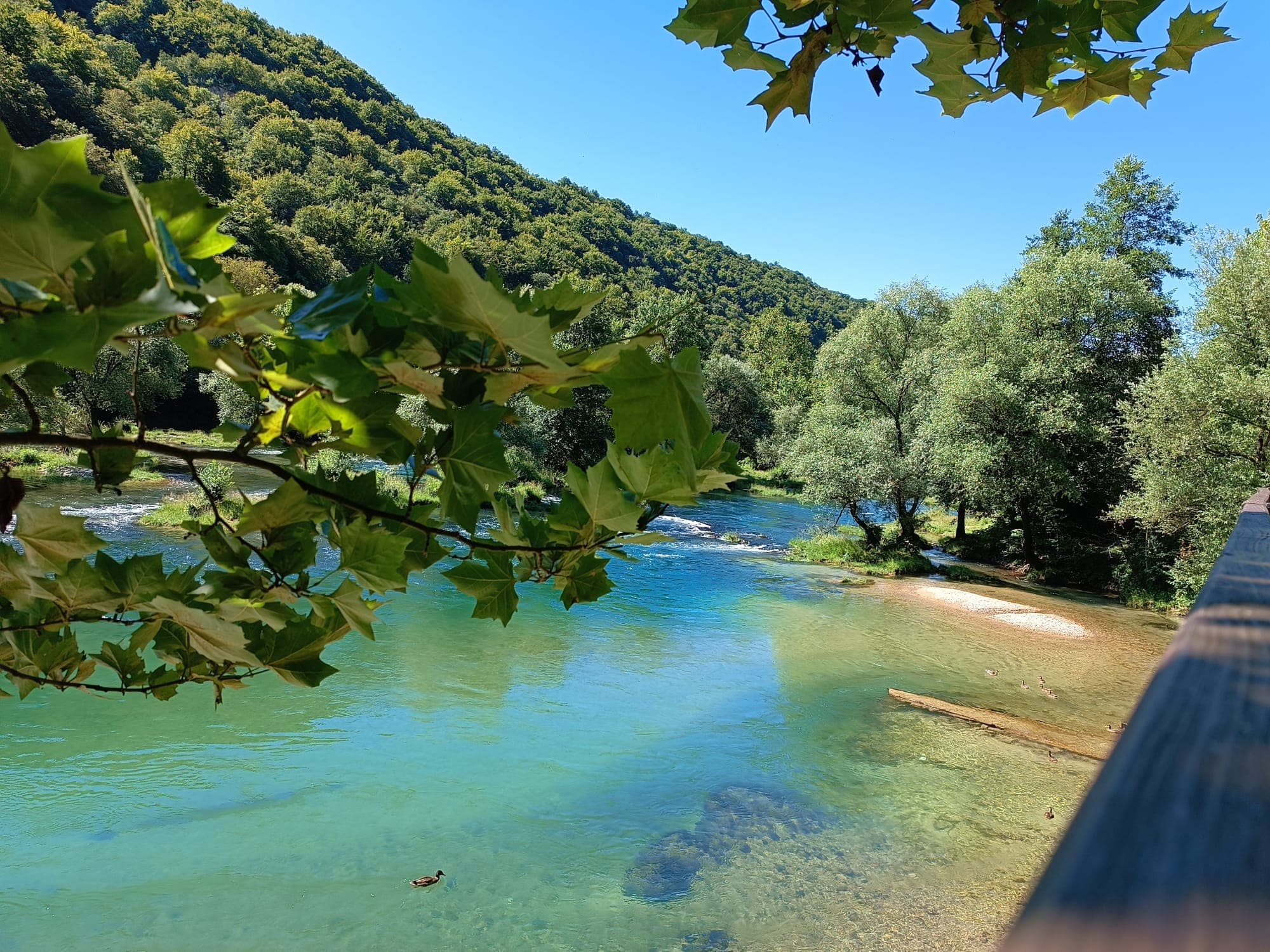 Clear turquoise river framed by leafy trees near Bihać